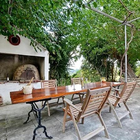 Minimalist Cozy House